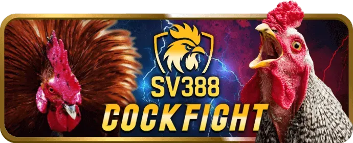 Facebook 95vn1